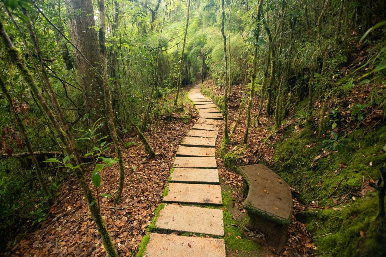 Dantica Cloud Forest Lodge San Gerardo de Dota Exterior foto