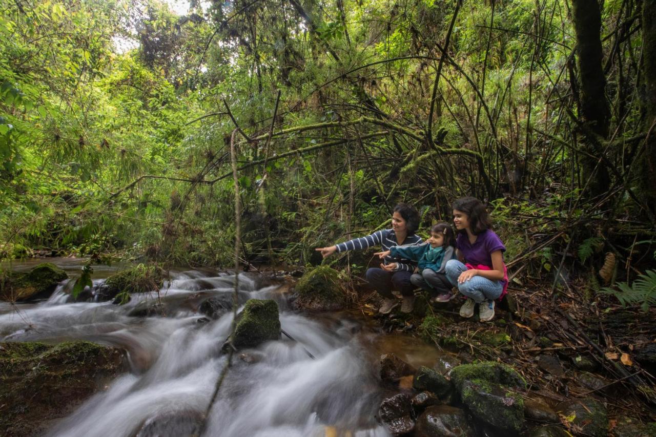 Dantica Cloud Forest Lodge San Gerardo de Dota Exterior foto
