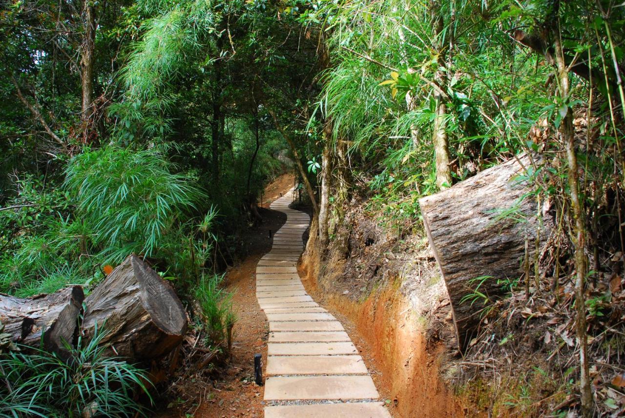 Dantica Cloud Forest Lodge San Gerardo de Dota Exterior foto