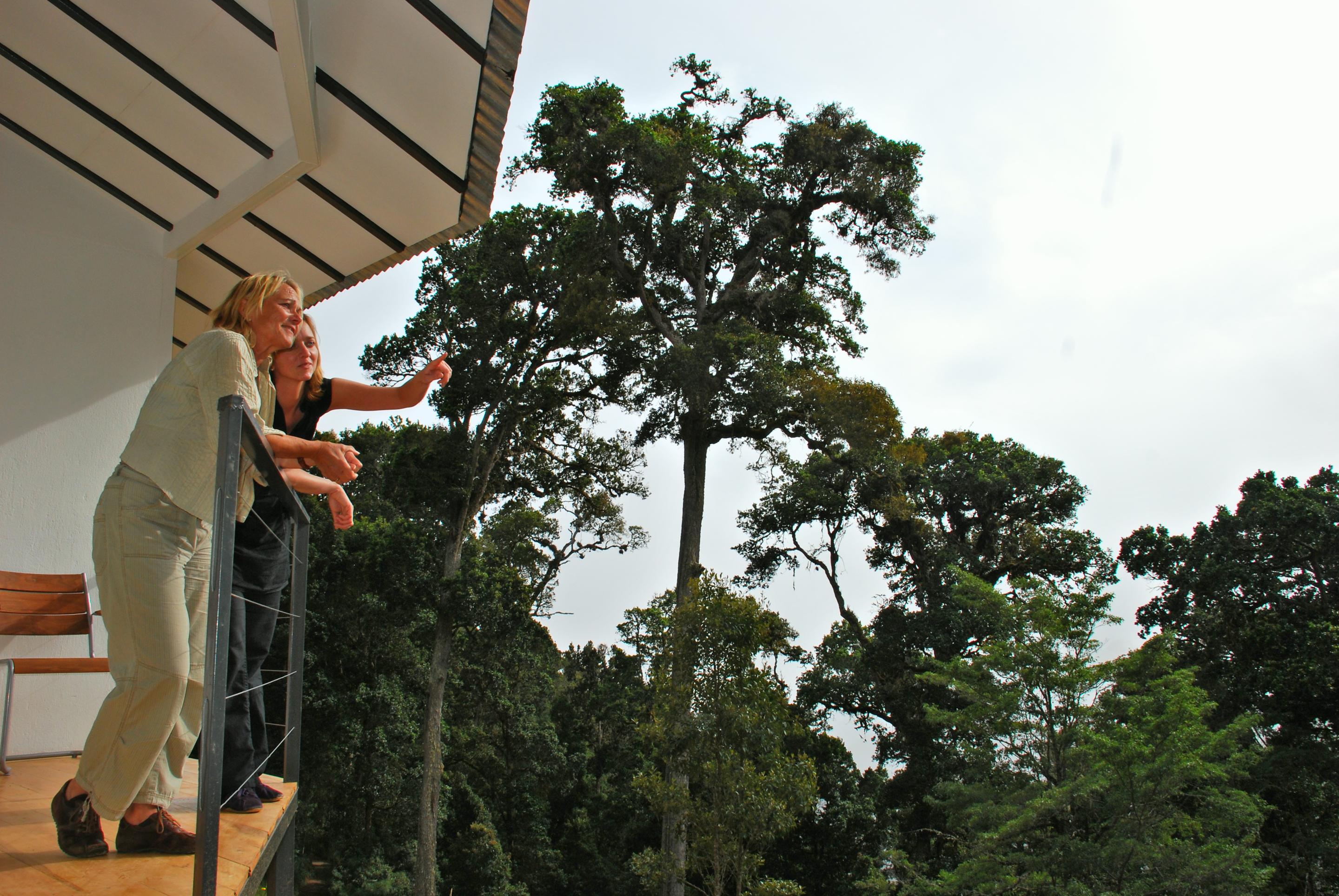 Dantica Cloud Forest Lodge San Gerardo de Dota Exterior foto